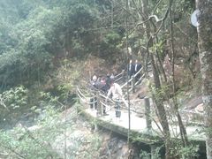 -九龙江国家森林公园