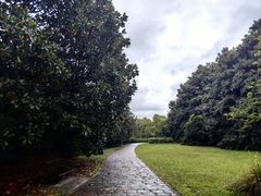 -上海共青森林公园