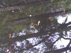 -华南国家植物园-售票处