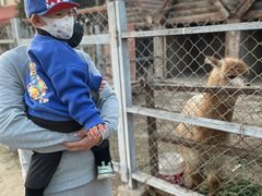 -意大利农场度假村