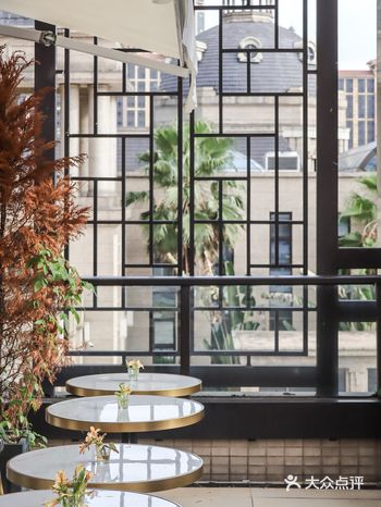 探店in佛山你安静喝下午,狗狗舒服享受按摩美容