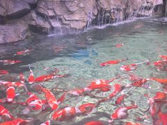 -苏州海洋馆