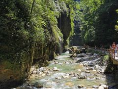 -梦幻奥陶纪景区