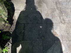 -牛背梁国家森林公园