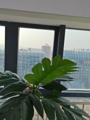 -HEYAN荷妍专业脱毛连锁机构
