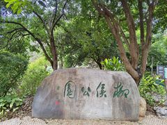 -柳侯公园