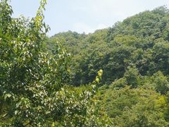 -青城两河漂流