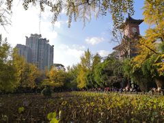 -四川大学(华西校区)