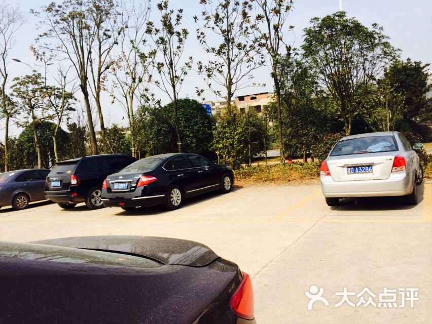 旺鸣轩九龙家宴-图片-衡阳美食-大众点评网