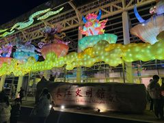 -武汉园博园(武汉自然博物馆)