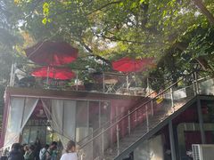 -鸡鸣汤包(红山动物园店)