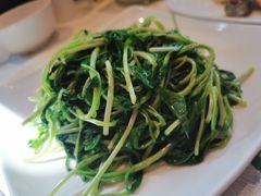 清炒马兰头-古南都·老广东酒楼(龙江店)