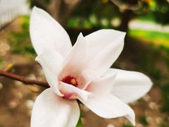 -国家植物园
