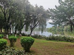 -飞来湖湿地公园