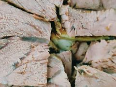 -宝瑞门钉肉饼店