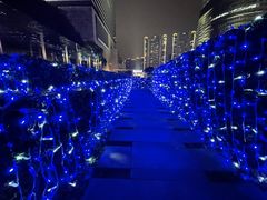 -上海柏悦酒店