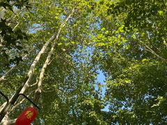 -杭州黄龙洞