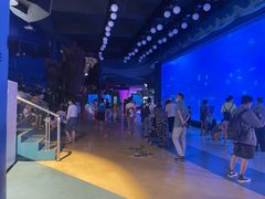 -烟台海昌鲸鲨海洋公园