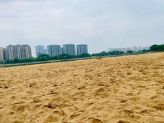 -金沙湖公园