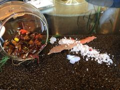 iphone_upload_pic-云门锦翠(商鼎国际店)