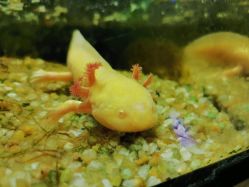 -未来动物城动物主题公园(大悦城店)