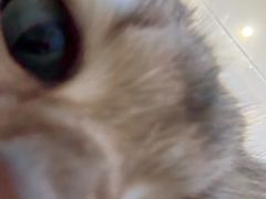 -瞄一喵猫咖(格力海岸店)