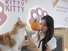 -喵园·猫主题咖啡厅·撸猫·猫咖(国贸店)