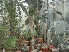 -国家植物园南园