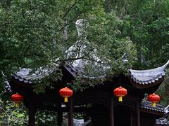 -深圳国际园林花卉博览园