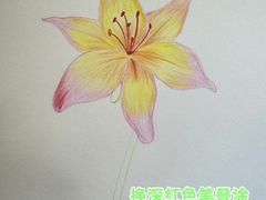 -谷隆画舍·国画书法素描彩铅水彩