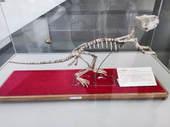 -中国第四纪冰川遗迹陈列馆