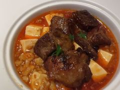 -甄御•海鲜新青岛菜(麦岛店)