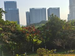 -玉树公园