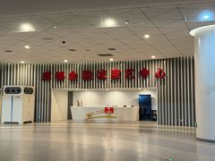 -成都金融城演艺中心