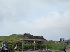 -涉地可支