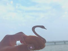 -北海富丽华大酒店·御园中餐厅