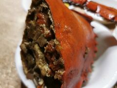 -莲花公园煎蟹(总店)