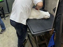 -PETKIT小佩宠物·低压洗护(国顺东路店)