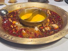 -哥老官重庆美蛙鱼头(西湖银泰十一哥店)