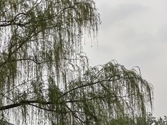 -燕郊植物园
