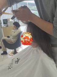 -世田造型