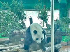 -广州动物园
