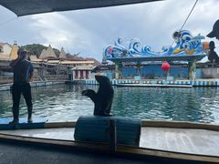 -海南分界洲岛旅游区