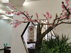 -泰山廊亦舫(丽景店)