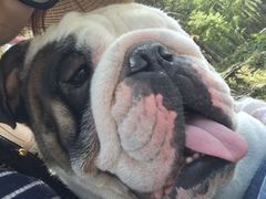 -硗碛藏寨·神木垒景区