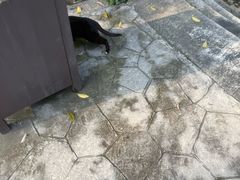 -三江森林温泉度假区