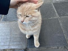 -终南山南五台景区