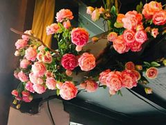 -靓蛙馆