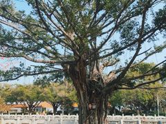 -南沙天后宫景区