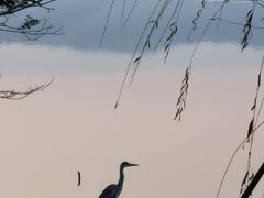 -东钱湖小普陀景区